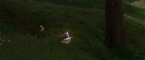 剑网3奇遇太行道任务全流程攻略