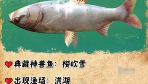 欢乐钓鱼大师典藏神兽鱼有哪些 欢乐钓鱼大师典藏神兽鱼获取方法