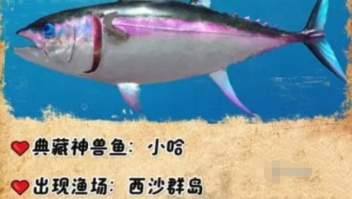 欢乐钓鱼大师典藏神兽鱼有哪些 欢乐钓鱼大师典藏神兽鱼获取方法