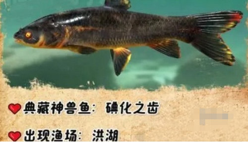 欢乐钓鱼大师典藏神兽鱼有哪些 欢乐钓鱼大师典藏神兽鱼获取方法