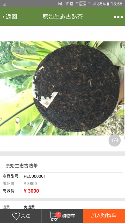 梦之境