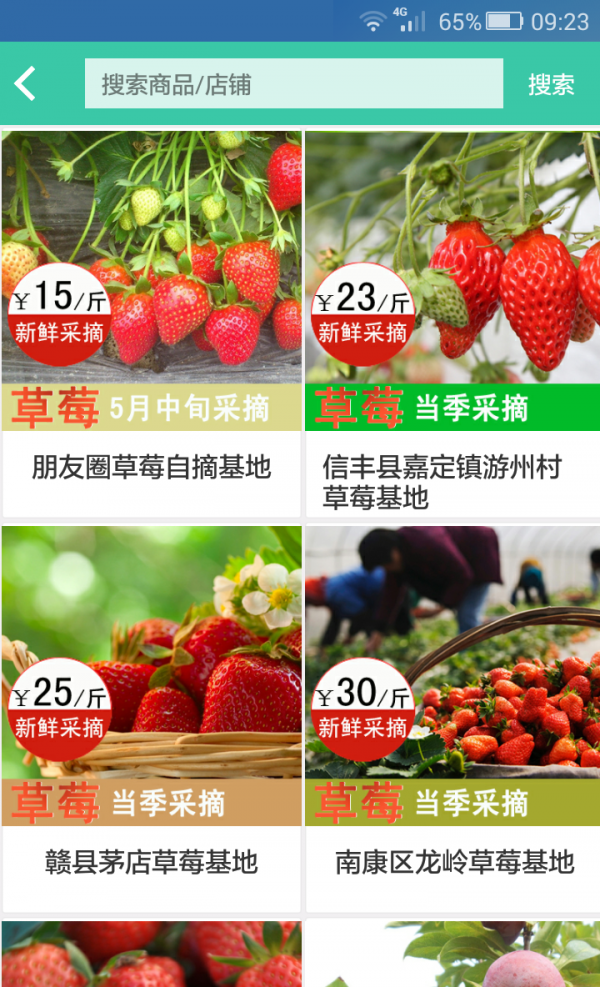 两天半