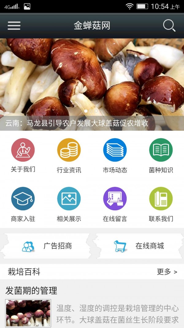 金蝉菇网