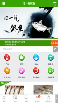 江一鲜鲥鱼
