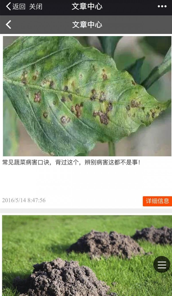 金坷垃