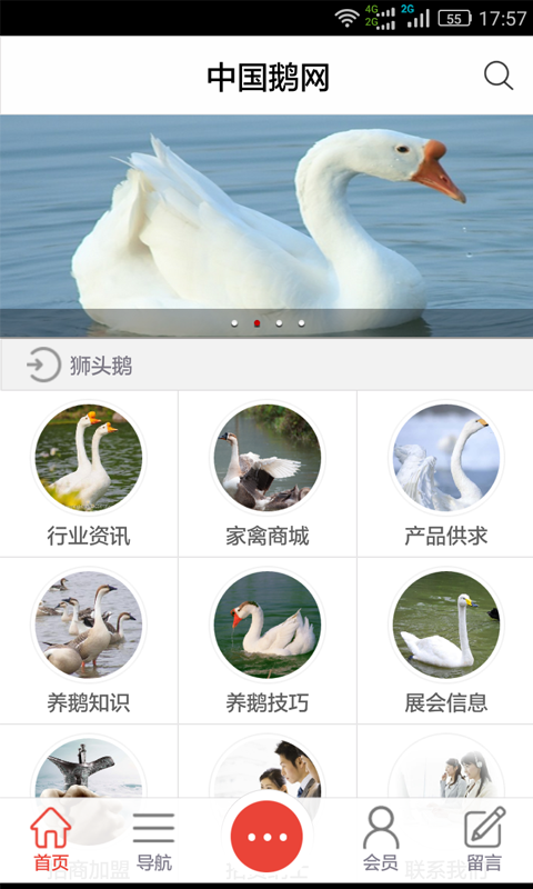 鹅网