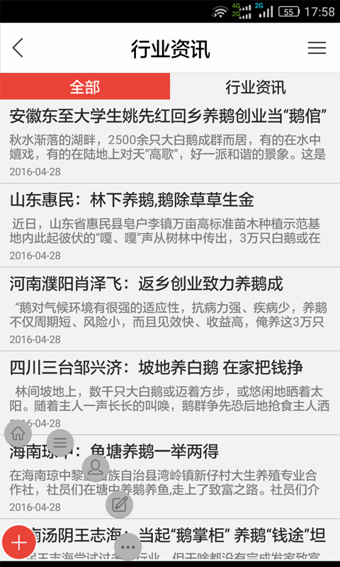 鹅网