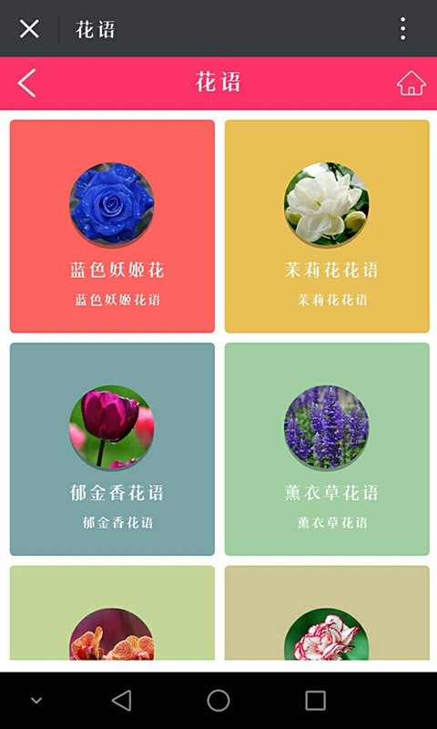 幸福花缘花卉
