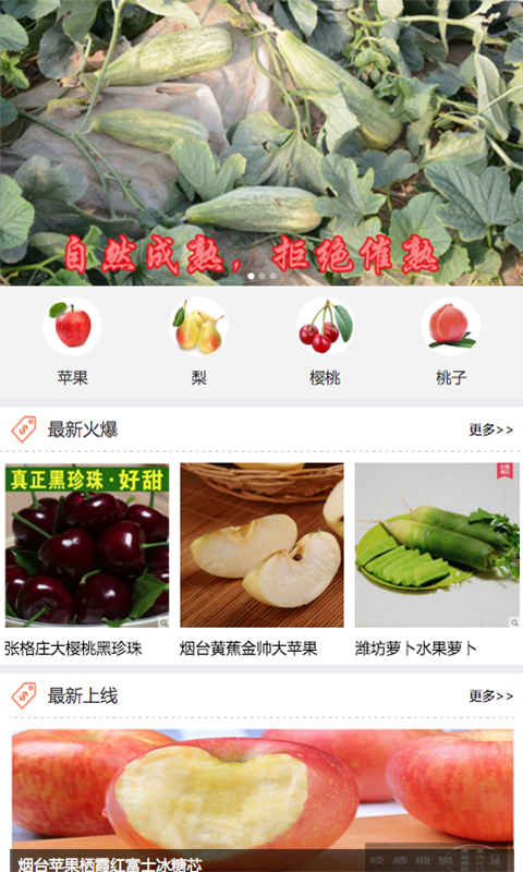山东果蔬商城
