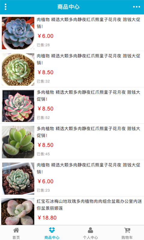 掌上多肉