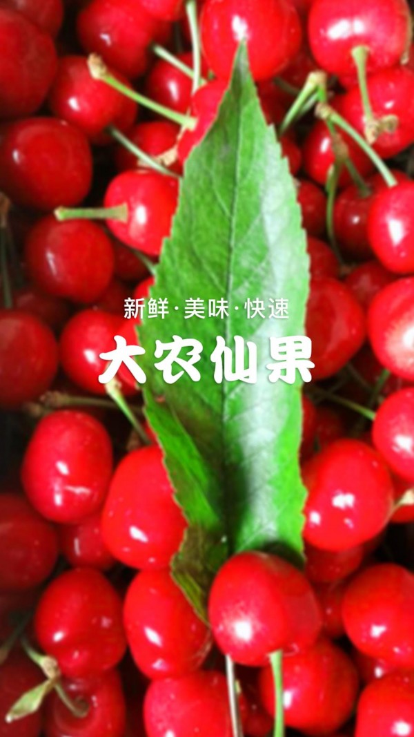 大农仙果