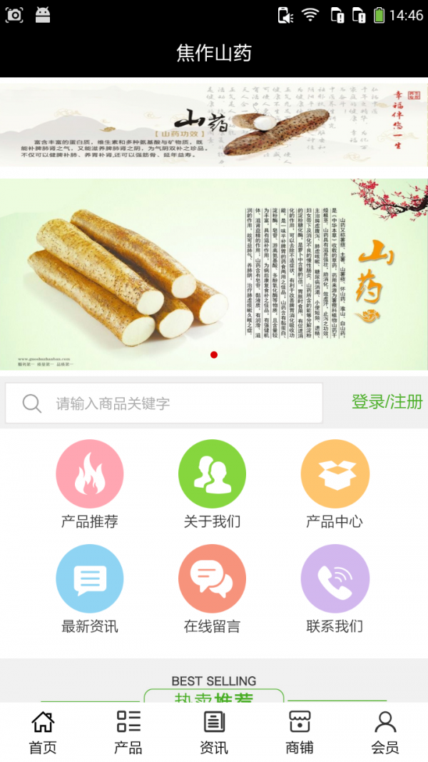 焦作山药