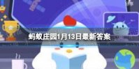 龙猫是猫吗蚂蚁庄园 我们经常饲养的宠物龙猫是猫吗
