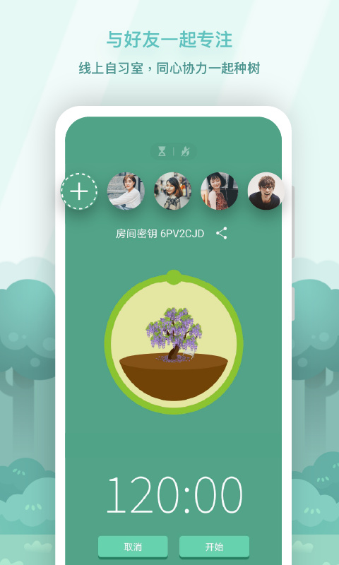 forest2024最新版本