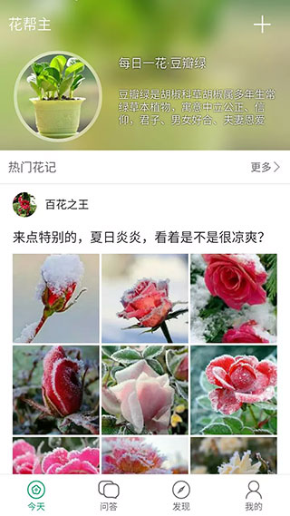 花帮主识花免费版