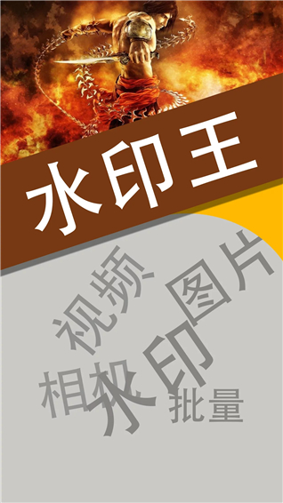 水印王app