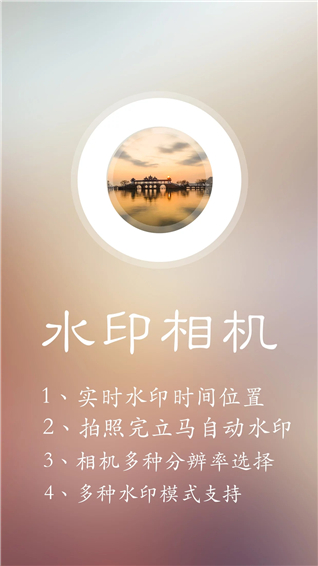 水印王app