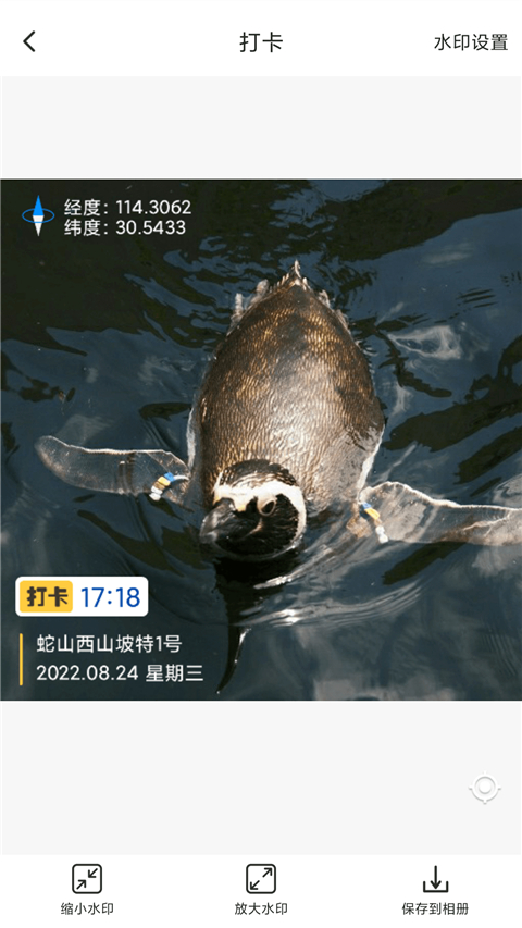 打卡定位App