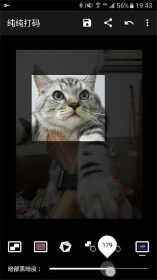 纯纯打码App