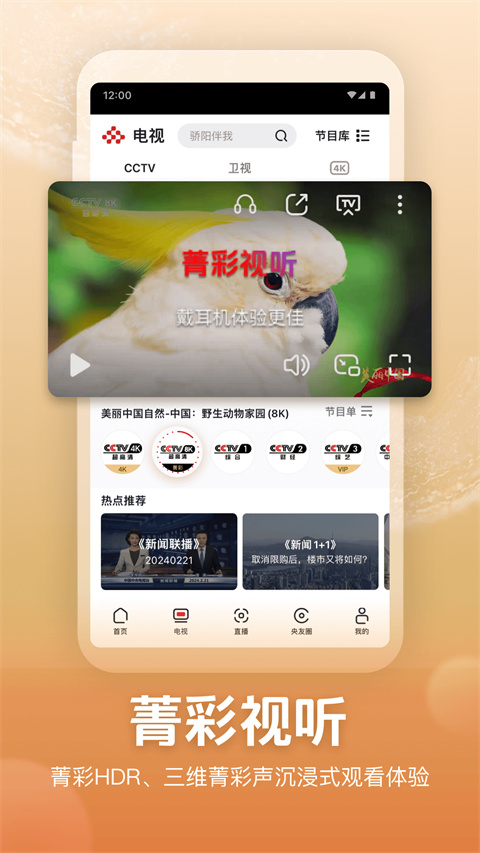 央视频app