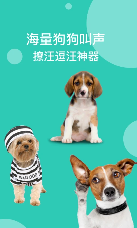 狗语翻译app