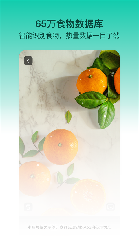 热量减肥法app