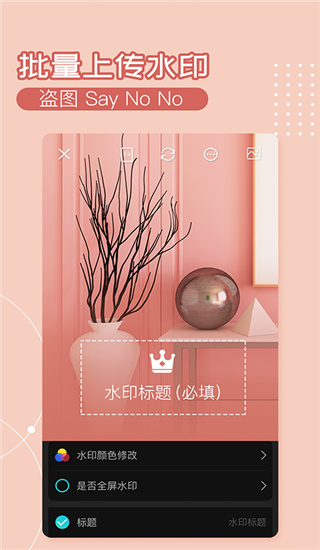 水印相机Ali