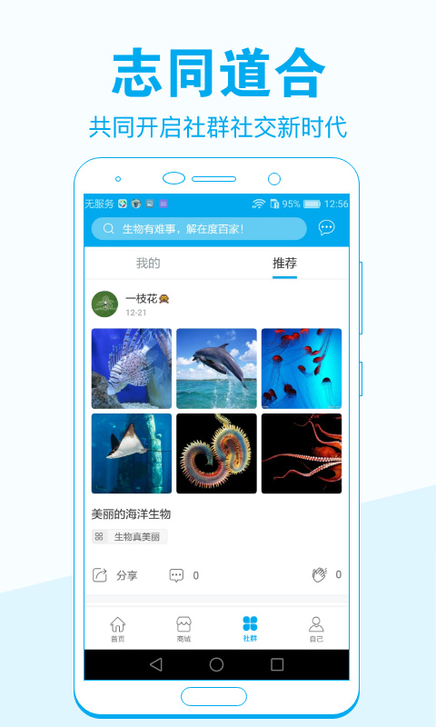 度百家app