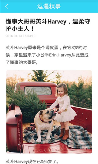 狗狗助手翻译神器