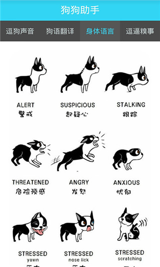 狗狗助手翻译神器