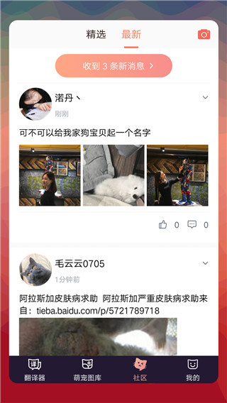 猫语翻译器