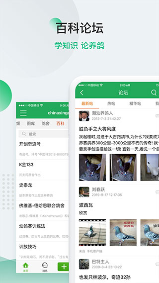 中国信鸽信息网app