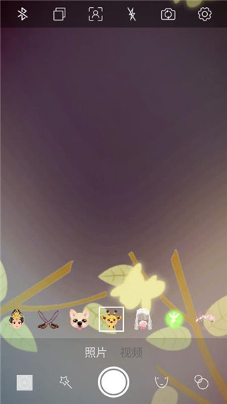 趣追拍app