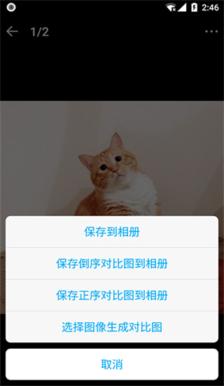 猫咪成长记app红包版最新版