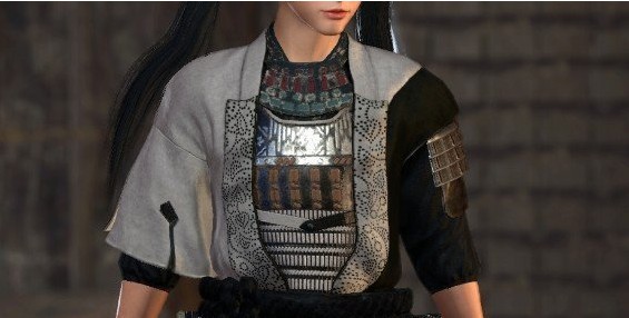仁王2黑白川并众战甲MOD