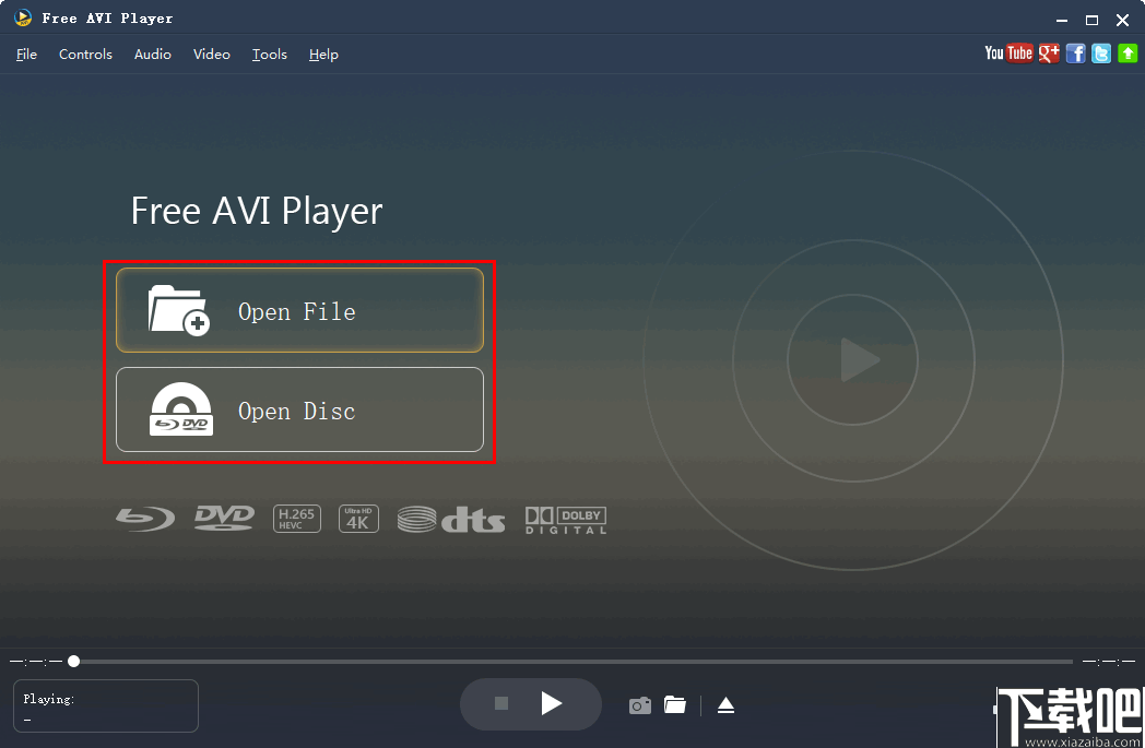 Aiseesoft Free AVI Player(AVI播放器)