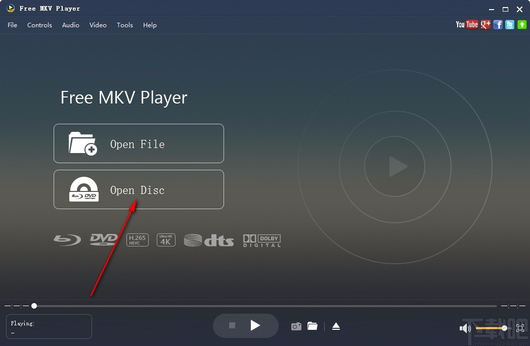 Aiseesoft Free MKV Player(MKV播放器)