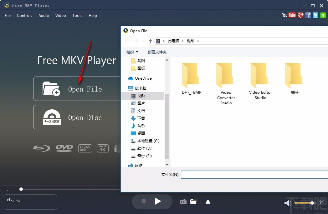 Aiseesoft Free MKV Player(MKV播放器)