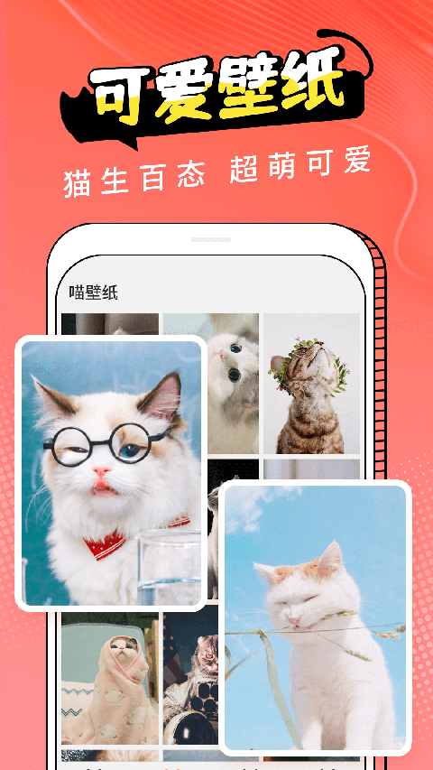 猫翻译app