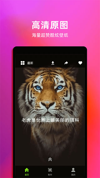 live动态壁纸app