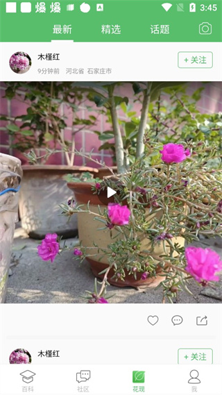 花卉大全app