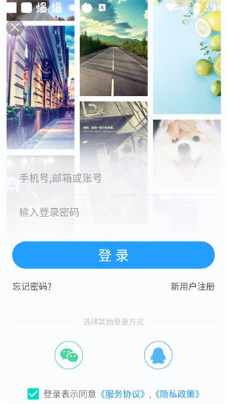 搞趣壁纸app