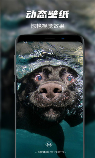 遥望壁纸app