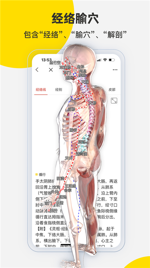 3dbody解剖图手机版