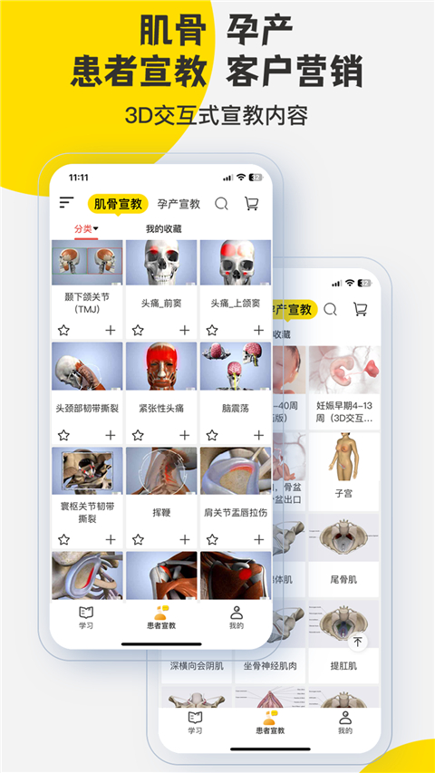 3dbody解剖图手机版