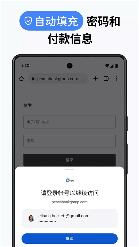 谷歌浏览器国际版