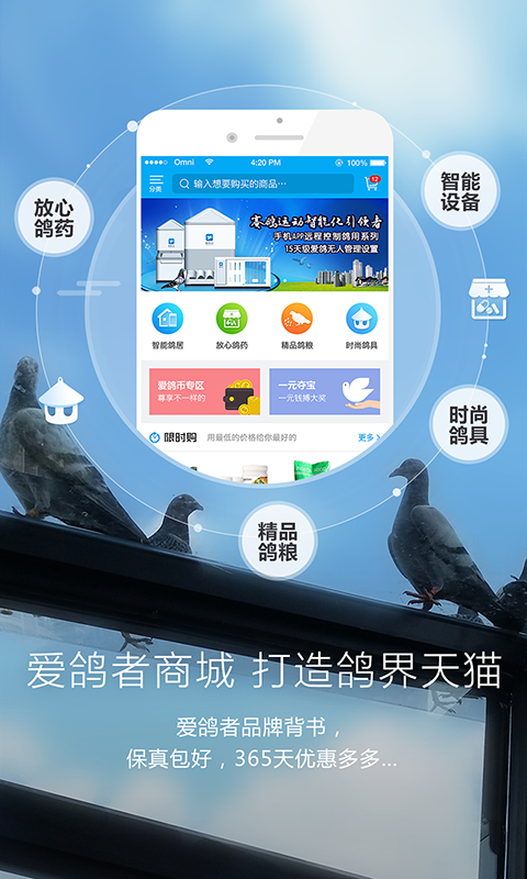 爱鸽者app