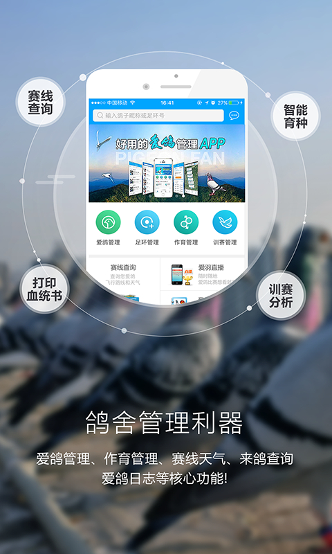 爱鸽者app