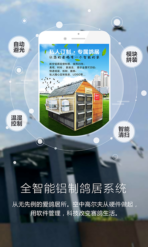 爱鸽者app