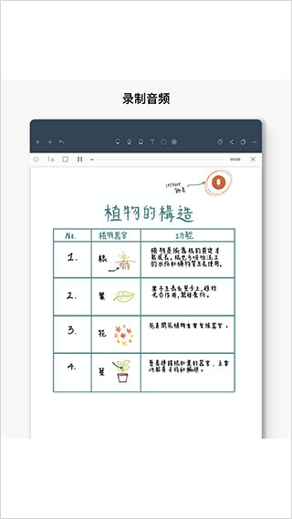 Noteshelf中文版